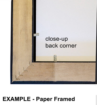 Denver Broncos Tribute -- by Thomas Jordan Gallery